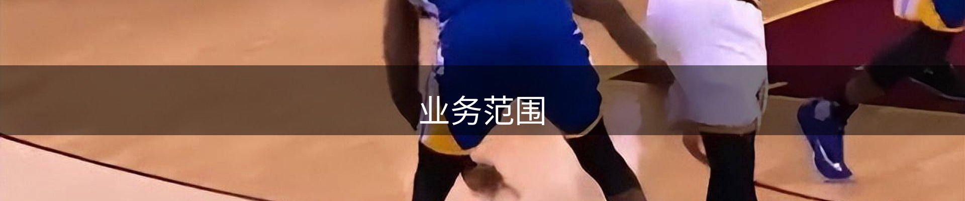 业务范围