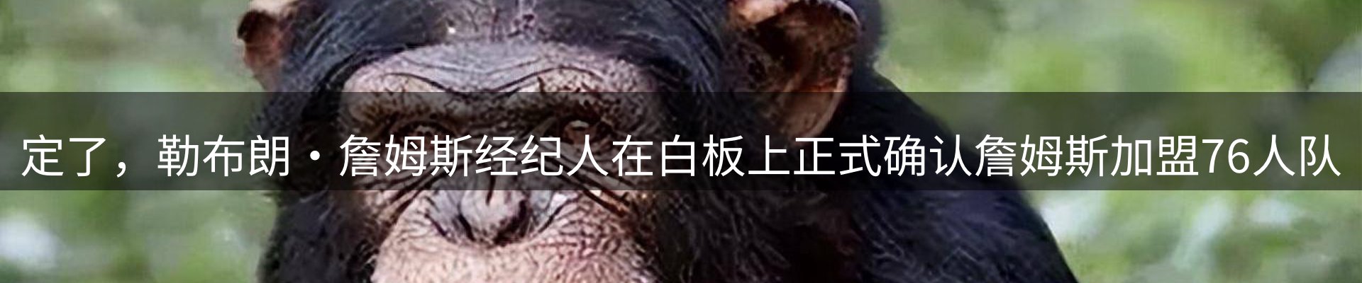 今日资讯